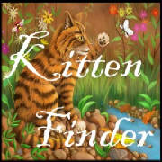 kittenfinder2.jpg